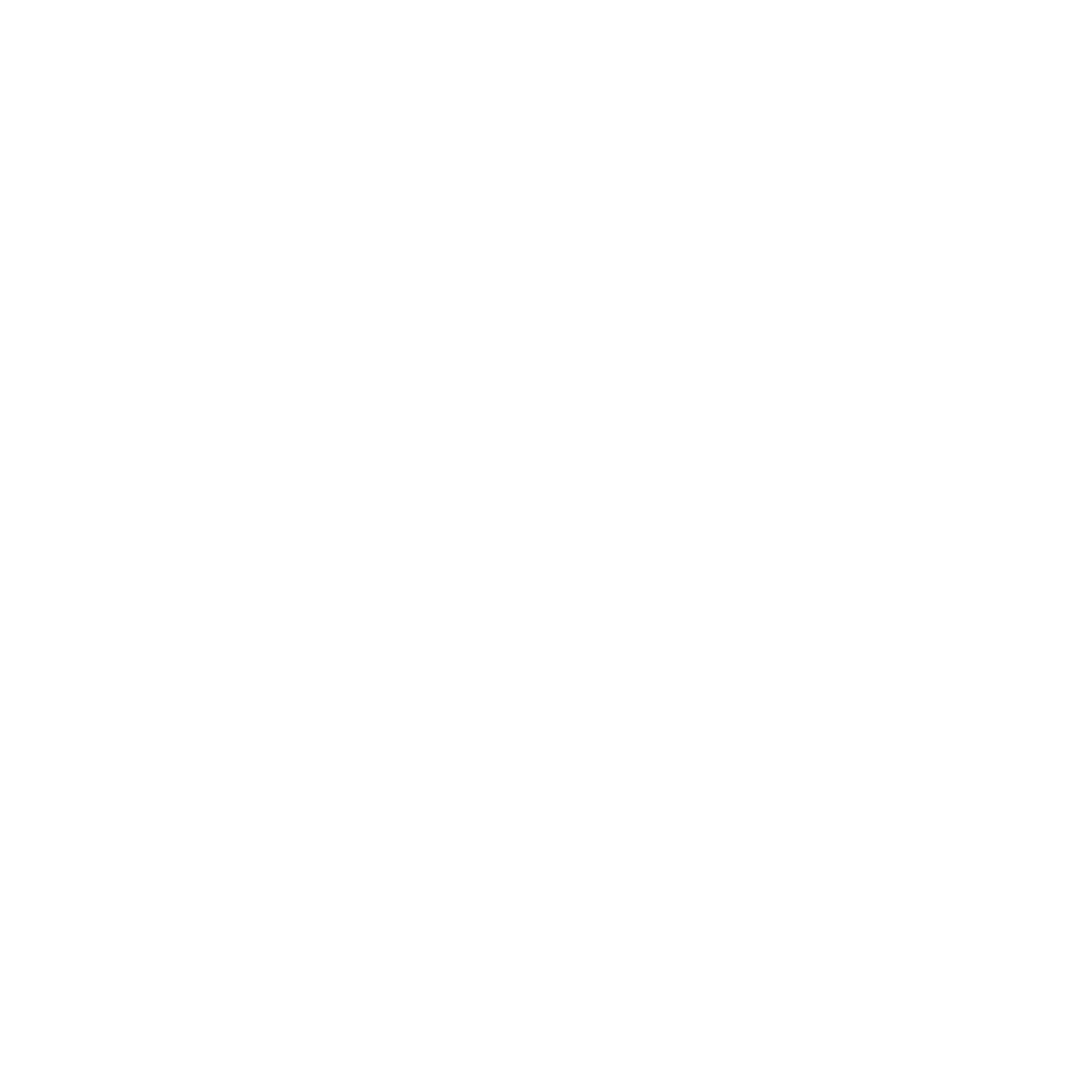The Flying Canoe Pub